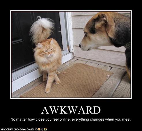 funny awkward photos