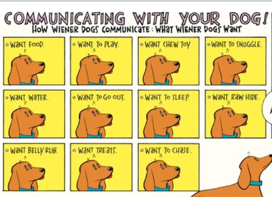 Dogs communicating store