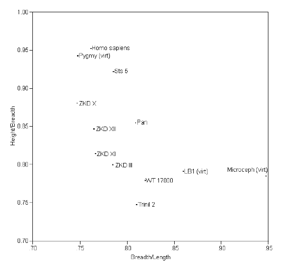 Language Log: March 2005 Archives