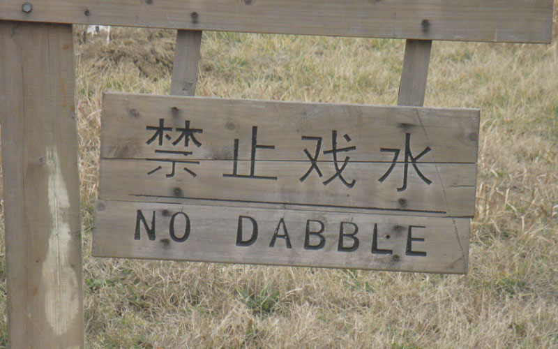 dabble writer community